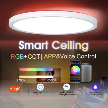 Smart 24W sodobni LED stropna luč na voljo za dekorativne dnevna soba RGB zatemniti glas tuya mobilni telefon program nadzora
