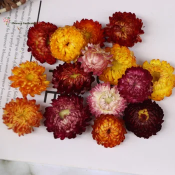 Chrysanthemum Glavo 50PCS Daisy Posušene Naravno Sončnično DIY Dekor Suhe Slame Dekorativne Za Dom svate, Dekoracijo Boho
