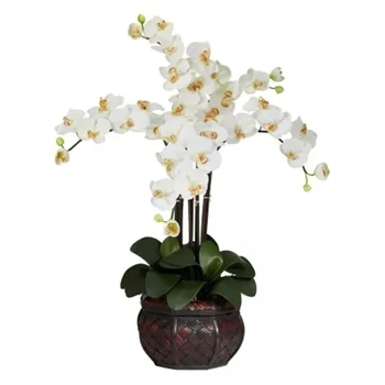 Phalaenopsis z Okrasno Vazo Umetno Cvetlični Aranžma, Krema Doma Vrt Dekor Stranka Hotel Dekor